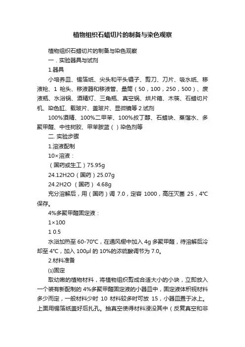植物组织石蜡切片的制备与染色观察