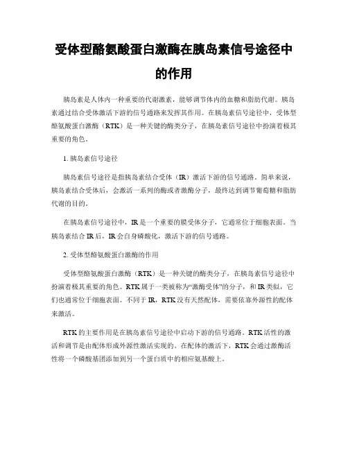 受体型酪氨酸蛋白激酶在胰岛素信号途径中的作用