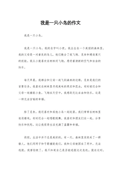 我是一只小鸟的作文