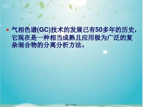 气相色谱(共13张PPT)