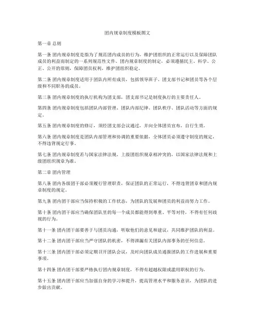 团内规章制度模板图文