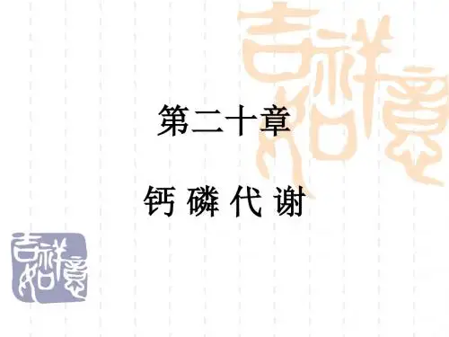20钙磷代谢 PPT课件