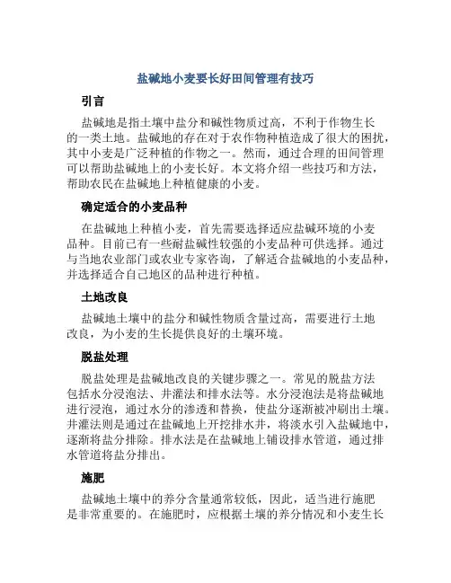 盐碱地小麦要长好田间管理有技巧
