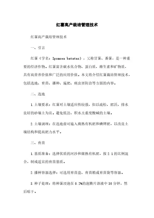 红薯高产栽培管理技术
