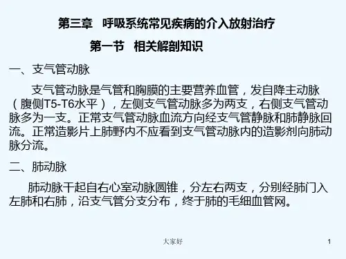 呼吸系统常见-病变的介入治疗-PPT