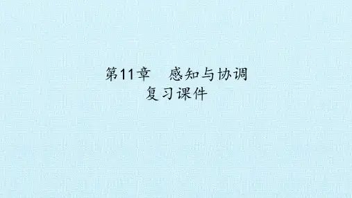 牛津上海版(五四学制)科学七年级上册：第11章 感知与协调  复习课件(共28张PPT)