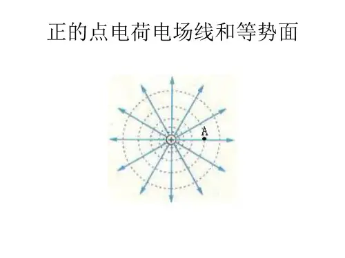 点电荷电场线和等势面