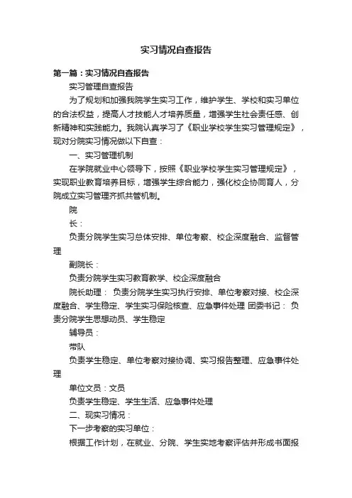 实习情况自查报告