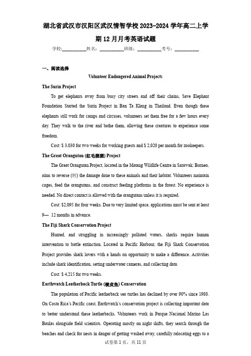 湖北省武汉市汉阳区武汉情智学校2023-2024学年高二上学期12月月考英语试题