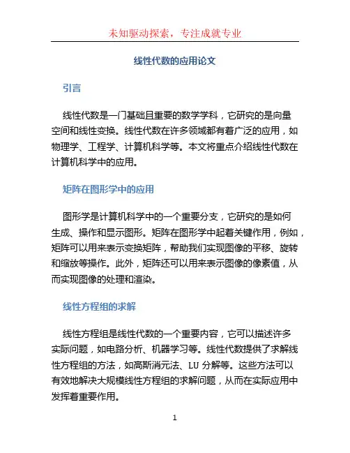 线性代数的应用论文