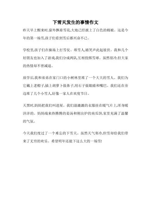 下雪天发生的事情作文