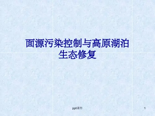 《人工湿地》PPT课件
