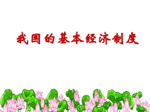 我国的基本经济制度