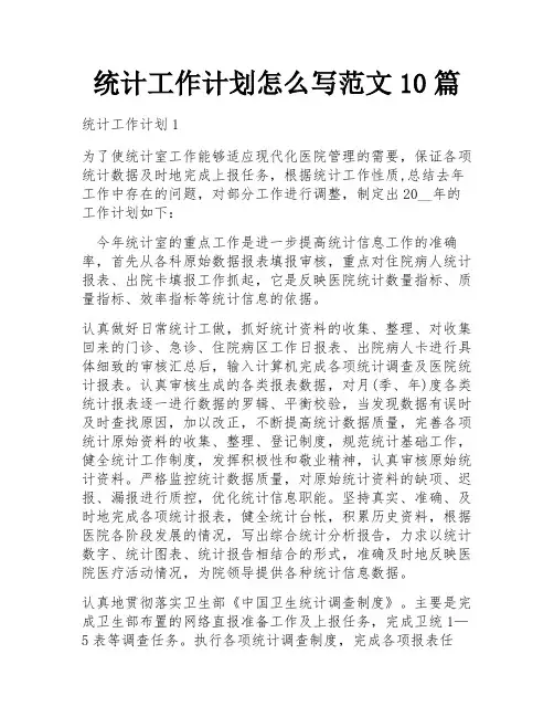 统计工作计划怎么写范文10篇