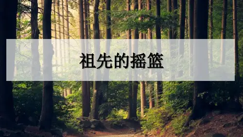 《祖先的摇篮》语文教学PPT课件(3篇)