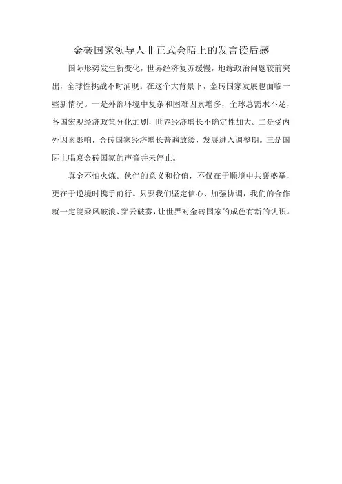 金砖国家领导人非正式会晤上的发言读后感