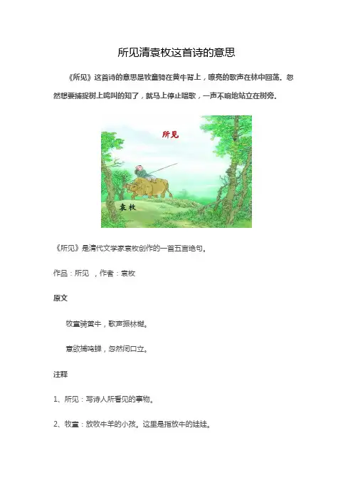所见清袁枚这首诗的意思