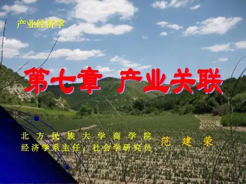 第七章  产业关联