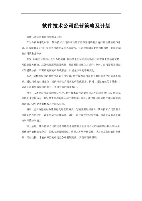 软件技术公司经营策略及计划