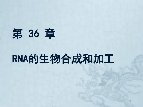 第36章 RNAppt课件