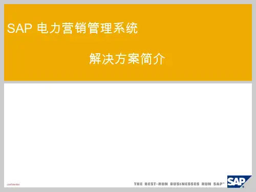 IS-U_CCS_Overview SAP公用事业客户关怀系统介绍