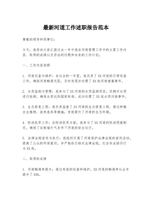 最新河道工作述职报告范本