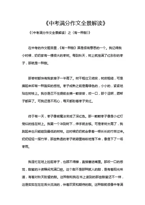 《中考满分作文全景解读》
