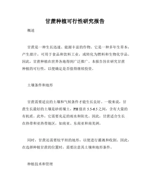 甘蔗种植可行性研究报告
