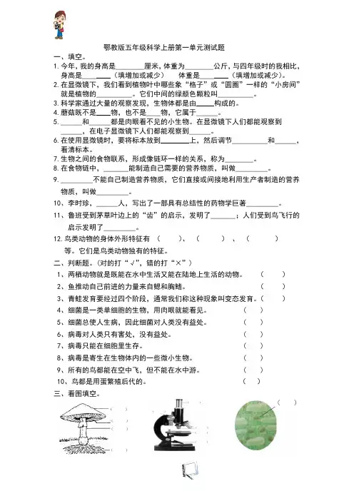 鄂教版五年级科学上册第一单元测试题及答案