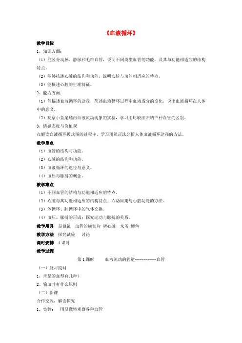 七年级生物下册第9章第二节血液循环教案1北师大版