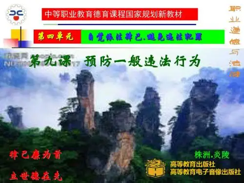 职业道德与法律第九课课件