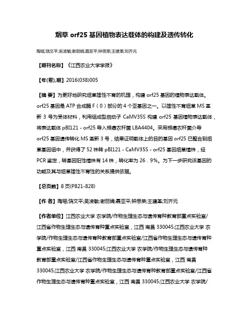 烟草orf25基因植物表达载体的构建及遗传转化