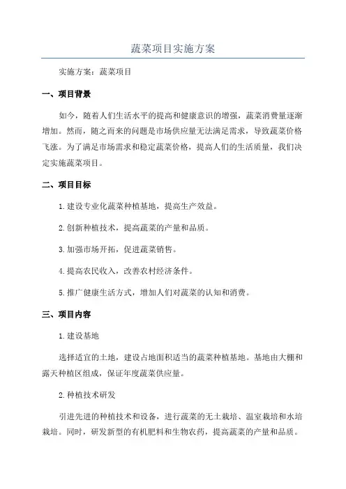 蔬菜项目实施方案