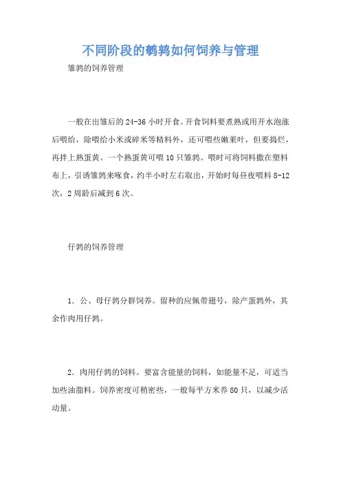 不同阶段的鹌鹑如何饲养与管理
