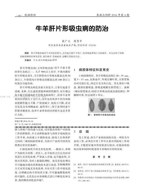牛羊肝片形吸虫病的防治