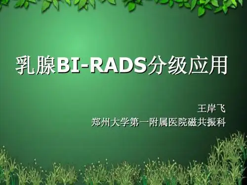 乳腺BI-RADS分级应用