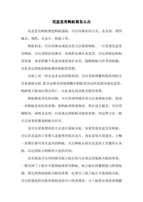 花盆里有蚂蚁窝怎么办