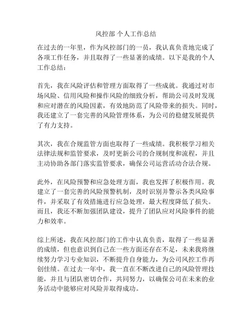 风控部 个人工作总结