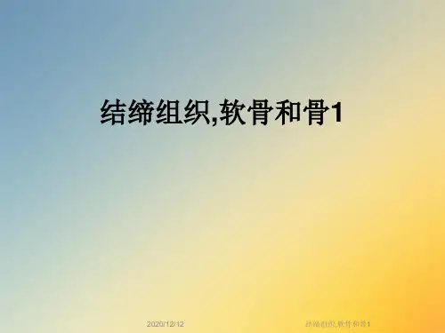 结缔组织,软骨和骨1
