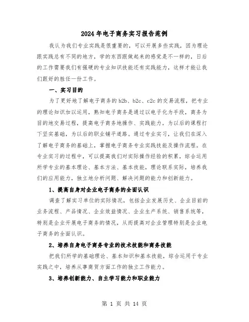 2024年电子商务实习报告范例(三篇)