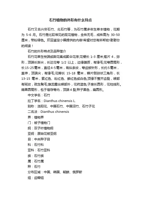 石竹植物的外形有什么特点
