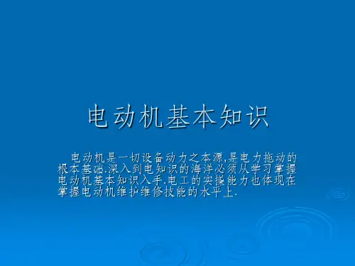 电动机基本知识ppt课件