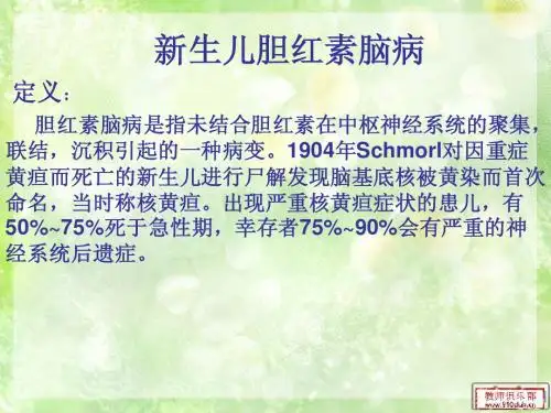 新生儿胆红素脑病