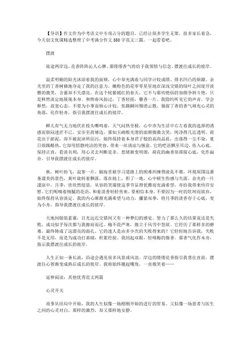 2021年中考满分作文550字范文：摆渡
