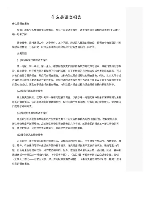 什么是调查报告