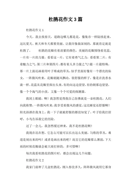 杜鹃花作文3篇