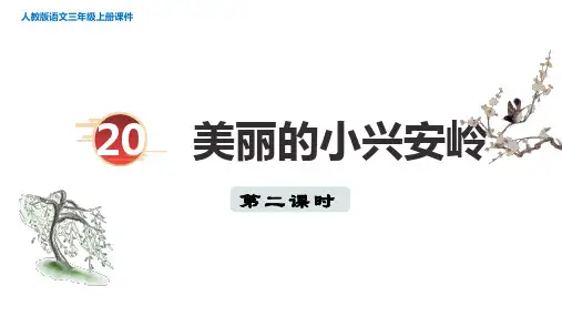 三年级语文上册20美丽的小兴安岭 第二课时课件