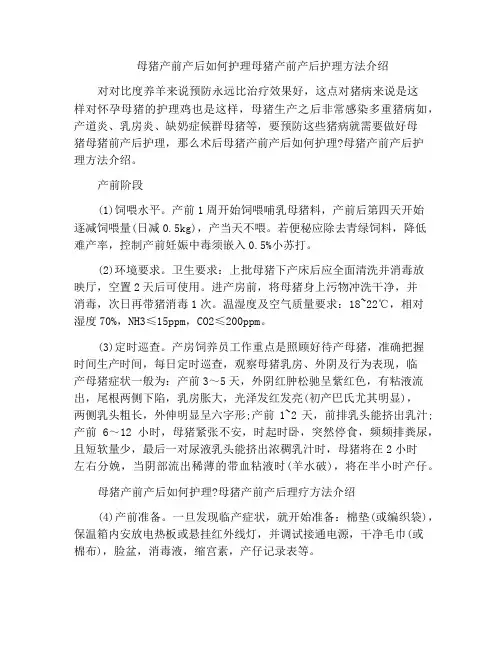 母猪产前产后如何护理母猪产前产后护理方法介绍
