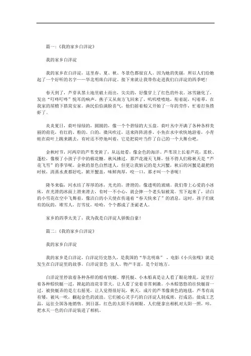 我的家乡白洋淀,100字作文范文
