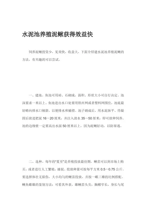 水泥池养殖泥鳅获得效益快